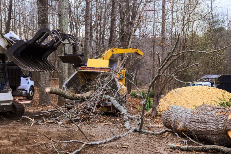 Cherry Tree Removal in Bucks County, PA
