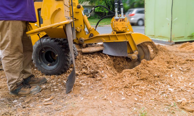 Commercial Stump Grinding in Aiken, SC
