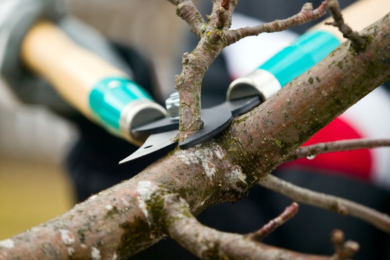 Pruning Shears