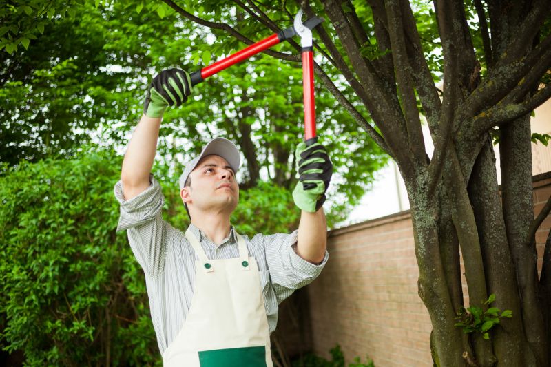Limb Pruning in Pottstown, PA