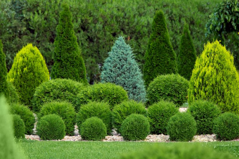 Shaping Trees for Landscape Design