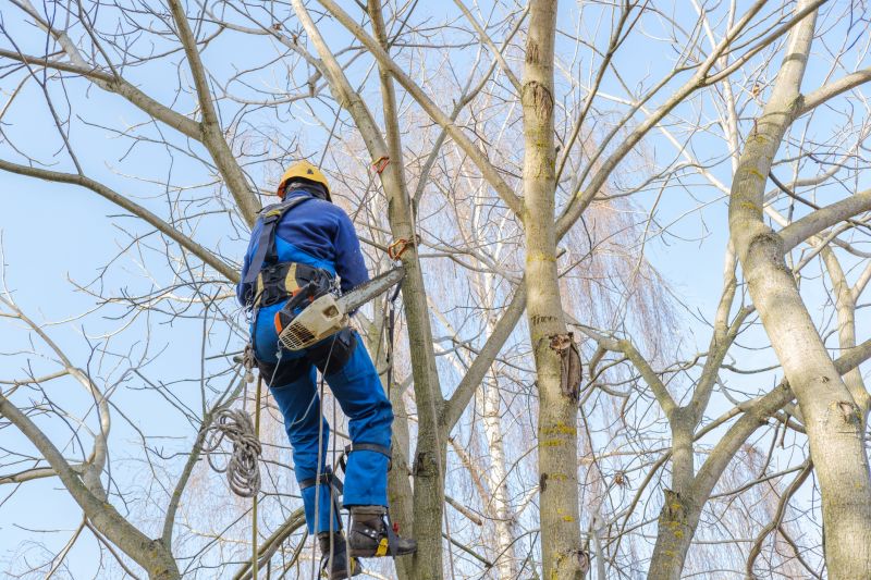 Tree Maintenance Planning