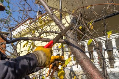 Structural Pruning by Experts
